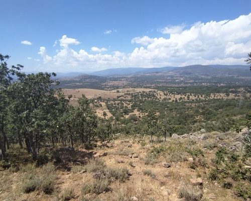 Collado de las dehesilla