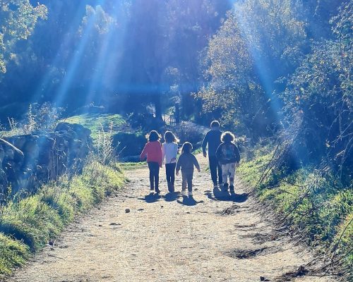 Cosechaenfamilia_HuertaAbril