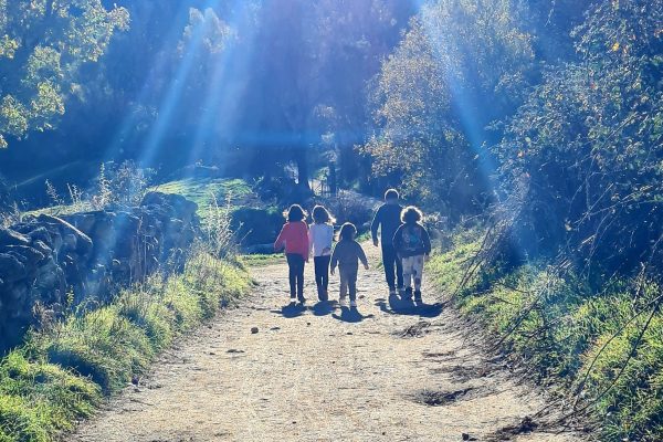 Cosechaenfamilia_HuertaAbril