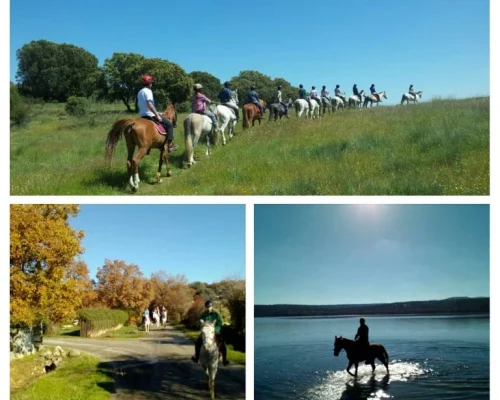demei-centro-ecuestre