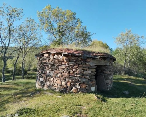 Ruta de senderismo Dehesa Boyal de Montejo