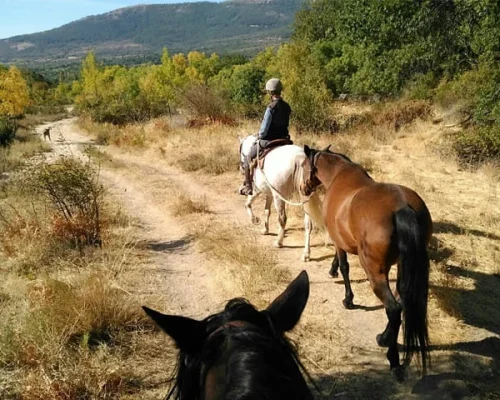 equivalle