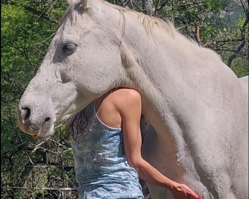 Foto abrazo con caballos