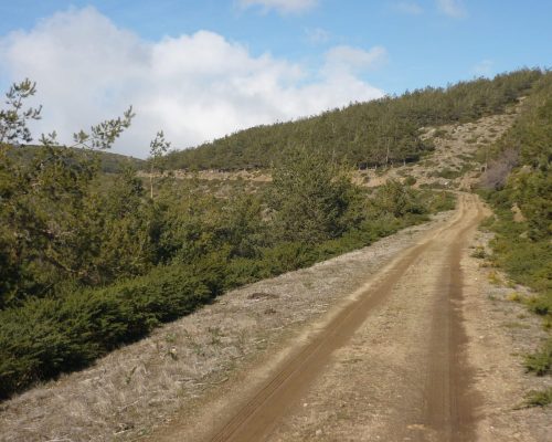 Fuentes del Jarama