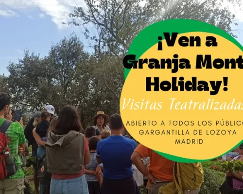 monte-holiday-granja