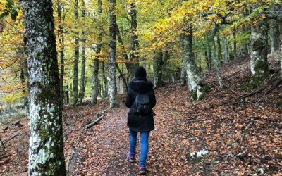 xr:d:DAFPkVCIrbY:2,j:38543218614,t:22102009