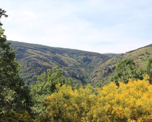 Vista desde el monte, con paisajes que se extienden a lo lejos.