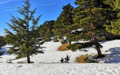 Invierno Sierra Norte