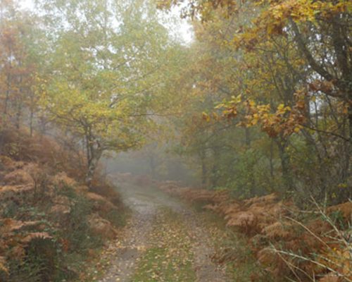 LA-DEHESA-BONITA-DE-SOMOSIERRA-WEB