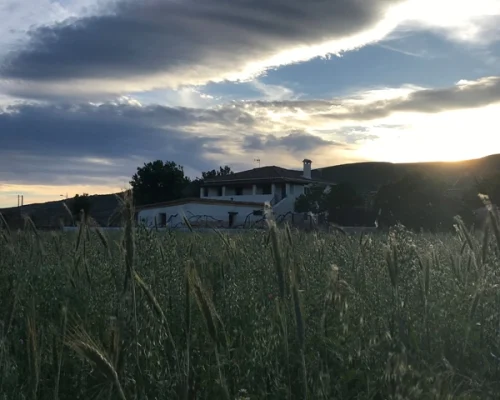 diezmos-torremocha