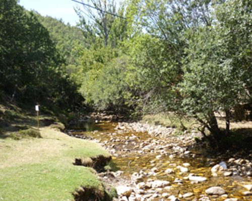 La-Maleza-y-Senda-del-Jarama2