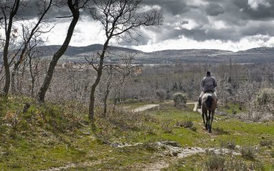 La Villa y La Vereda