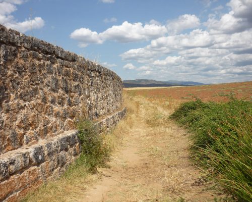 La vega del jarama ruta
