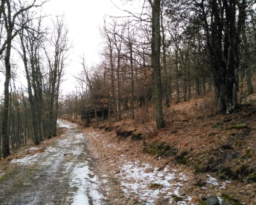 Ruta en la Ladera de Santuil