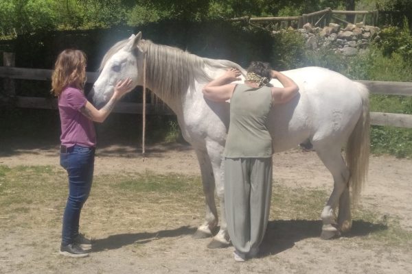 LasBeceas_AbrazarsealosCAballos