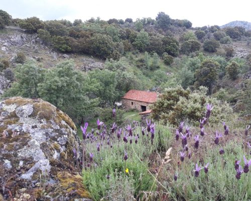 MOLINO-PAREDES-2-2048x1536