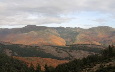Otoño Sierra Norte