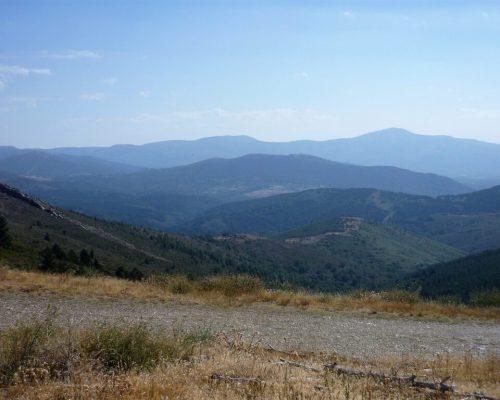 P1050551fg-2048x1536