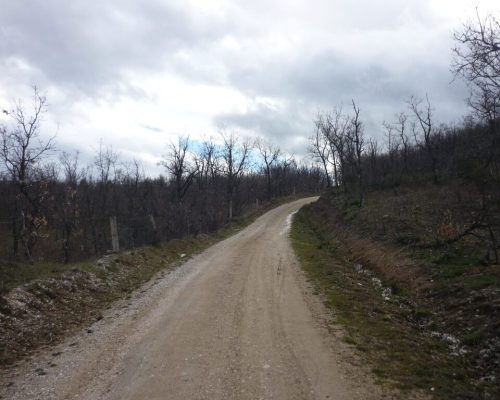 Vista de un camino de tierra que serpentea por el monte, rodeado de naturaleza.