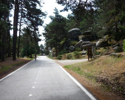 Vista de una carretera recta rodeada de árboles en ambos lados.