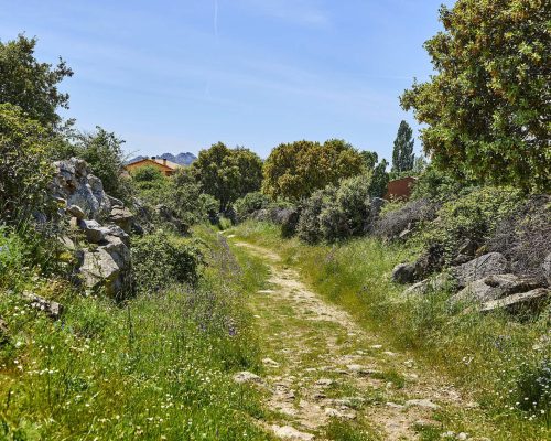 Camino ruta