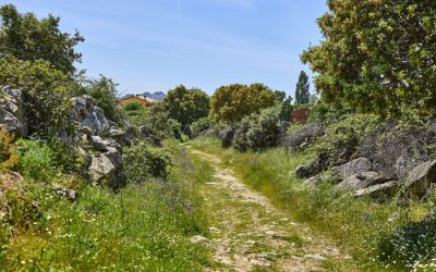 Paisaje-Caminos-Navas-Buitrago