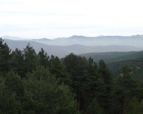 Montaña paisaje