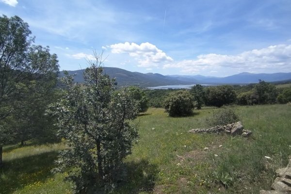 Paisaje dia despejado