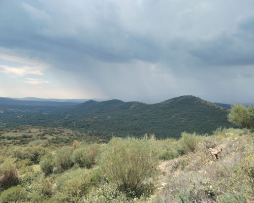Paisaje un día nublado