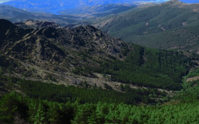 Paisaje_La_Puebla_01