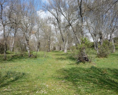 Paisajes-de-Agua-y-Jara-3