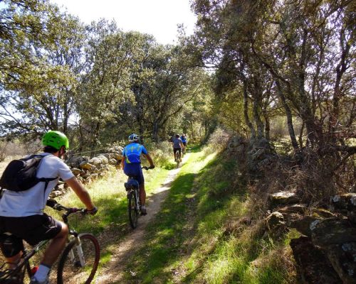 Paseo en la ruta GR300