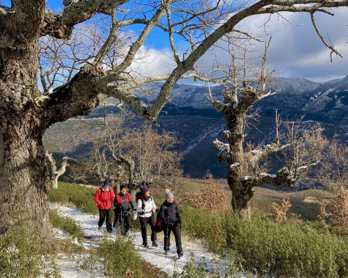 Personas haciendo ruta de senderismo