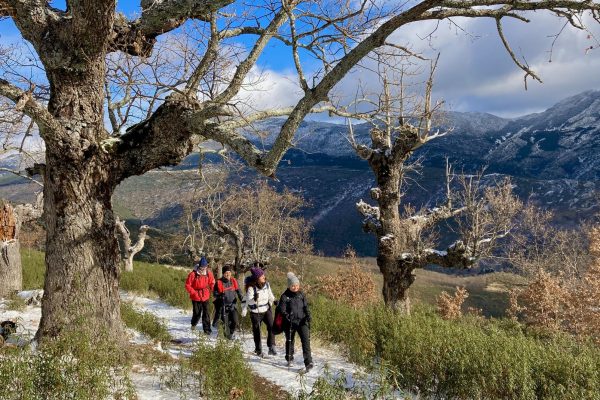Personas haciendo ruta de senderismo