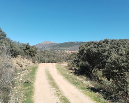 Ruta Pinar de Casasola