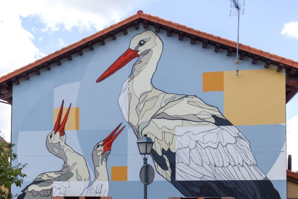 PinilladelValle_CaínFerreras