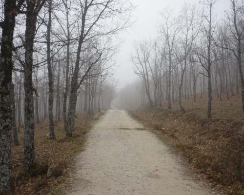Ruta la Dehesa Boyal de Montejo