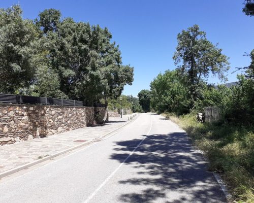 Carretera de montaña en Prádena del Rincón bordeada por muros de piedra y vegetación exuberante bajo un cielo despejado.