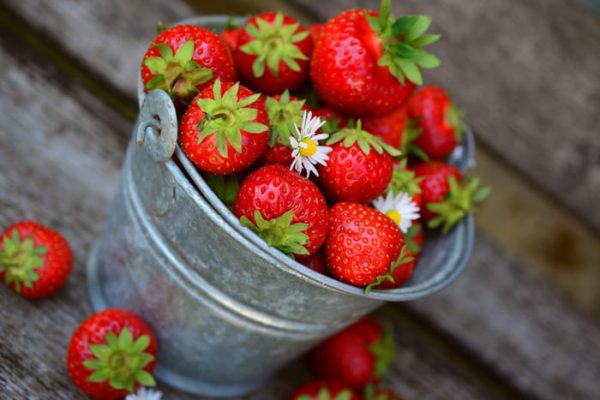 Fresas en un cubo