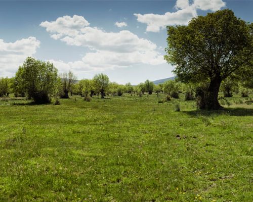 RUTA-1.-SENDA-DEL-LINO-2-WEB