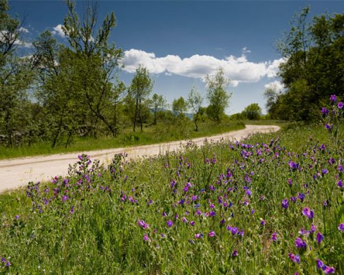 RUTA-1.-SENDA-DEL-LINO-WEB