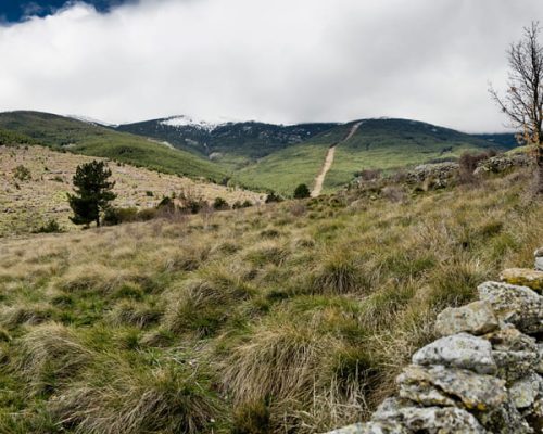 RUTA-2.-SENDA-AL-PUERTO-LINERA-2-WEB-2