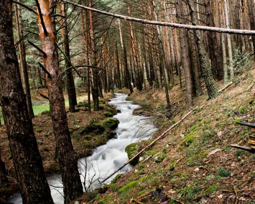 RUTA-3.-SENDA-DE-MATAMBRE-2-WEB