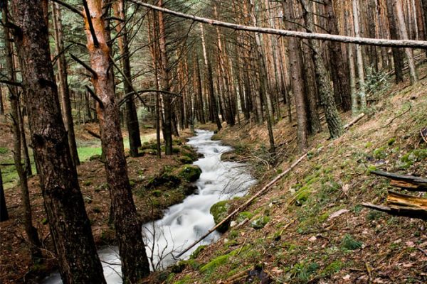 RUTA-3.-SENDA-DE-MATAMBRE-2-WEB