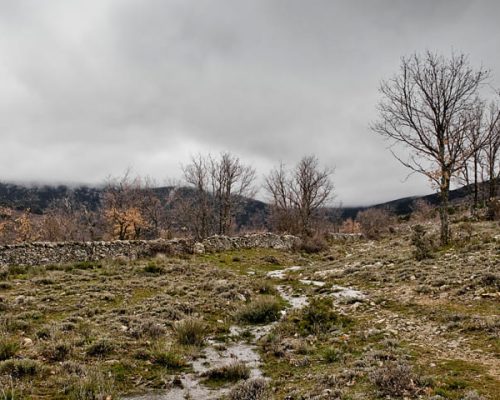 RUTA-3.-SENDA-DE-MATAMBRE-WEB