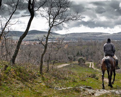 RUTA-4.-VUELTA-A-LA-REGUERA-2-WEB