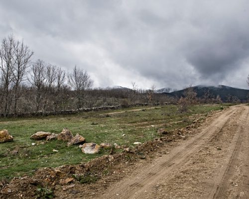 RUTA-4.-VUELTA-A-LA-REGUERA-WEB