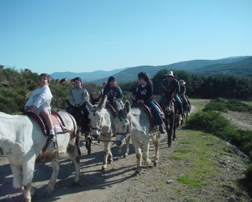 RUTAS_EN_BURRO_PLAN102