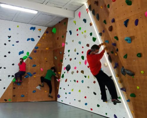 Rocodromo-Honey-Rock-05