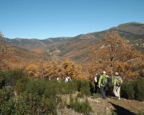 Ruta en Cerro Larda